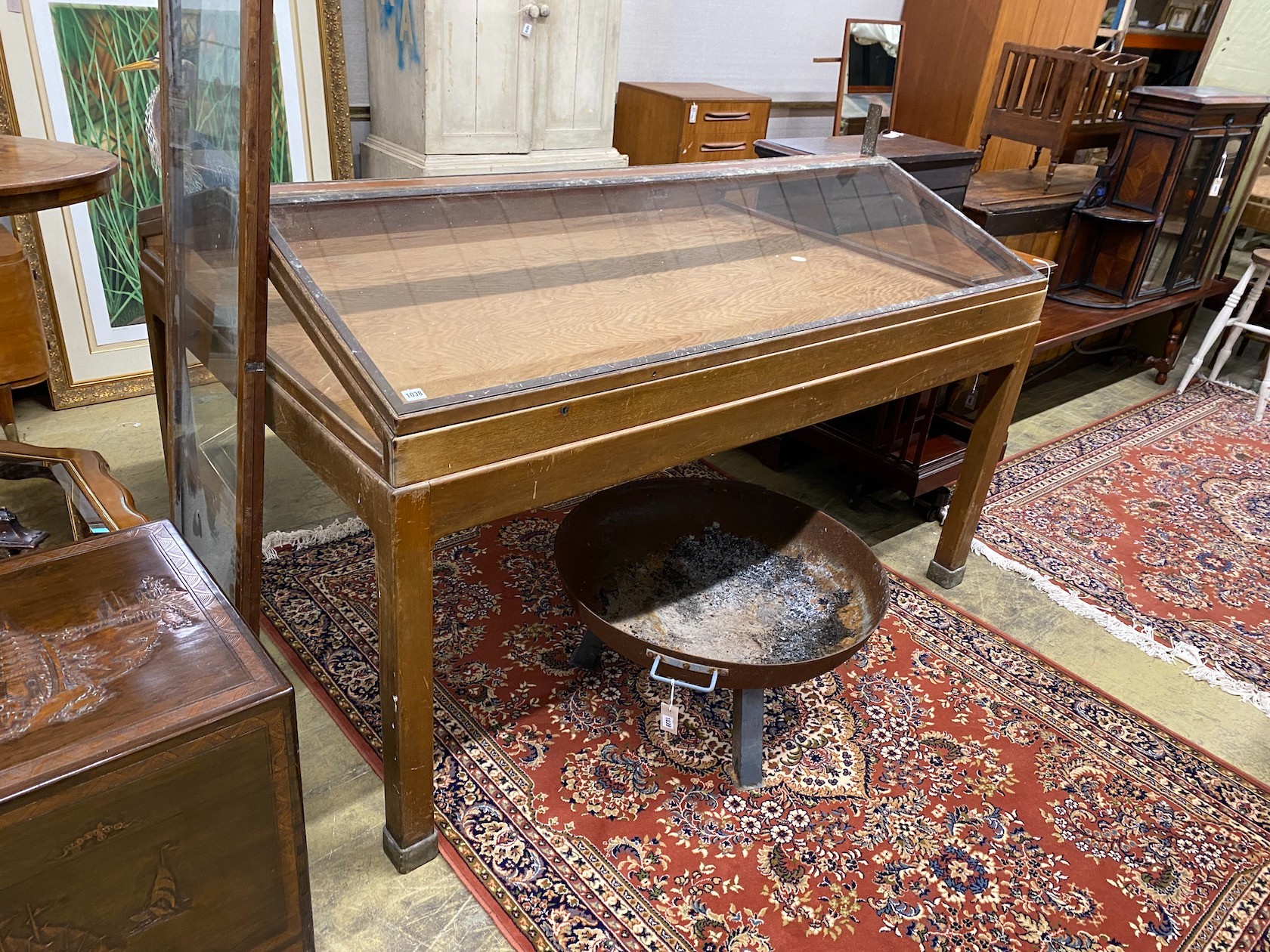 A mid century brass mounted mahogany museum specimen display cabinet with twin hinged slant top, width 184cm, depth 123cm.